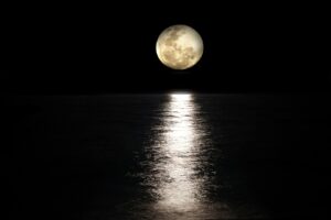 The observer - the ever present moon resides over a calm lake - like the calm spirit should observe the mind